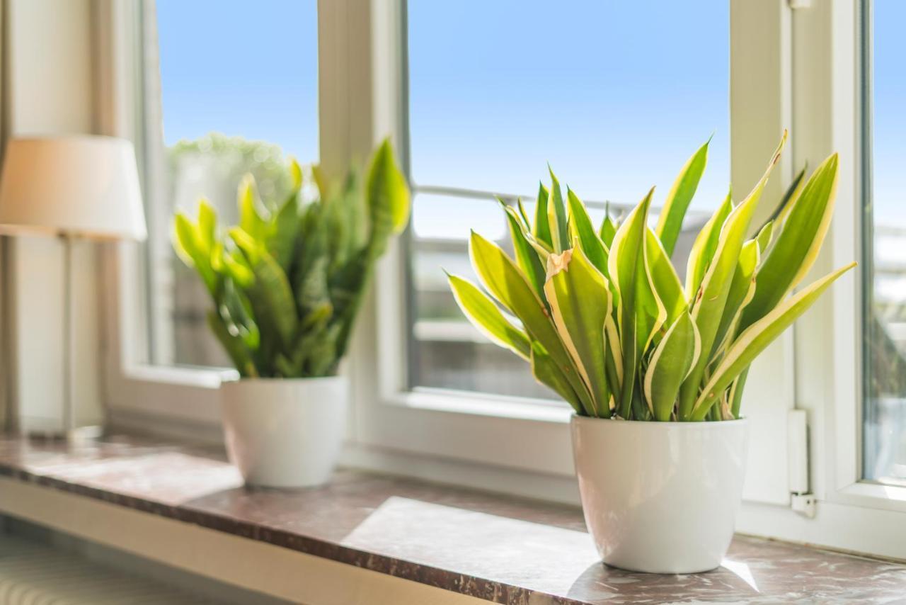 Fuths Penthouse 55 Apartman Antwerpen Kültér fotó